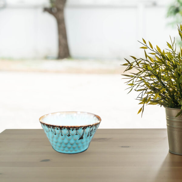 SOUP BOWL DIA.