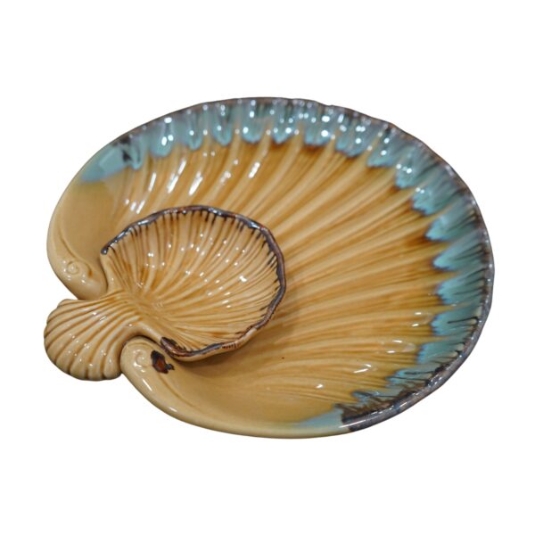 Seashell C/D